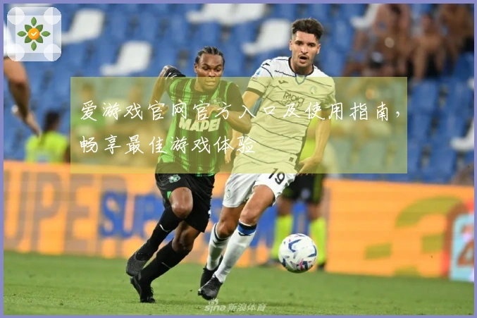 爱游戏官网官方入口及使用指南，畅享最佳游戏体验